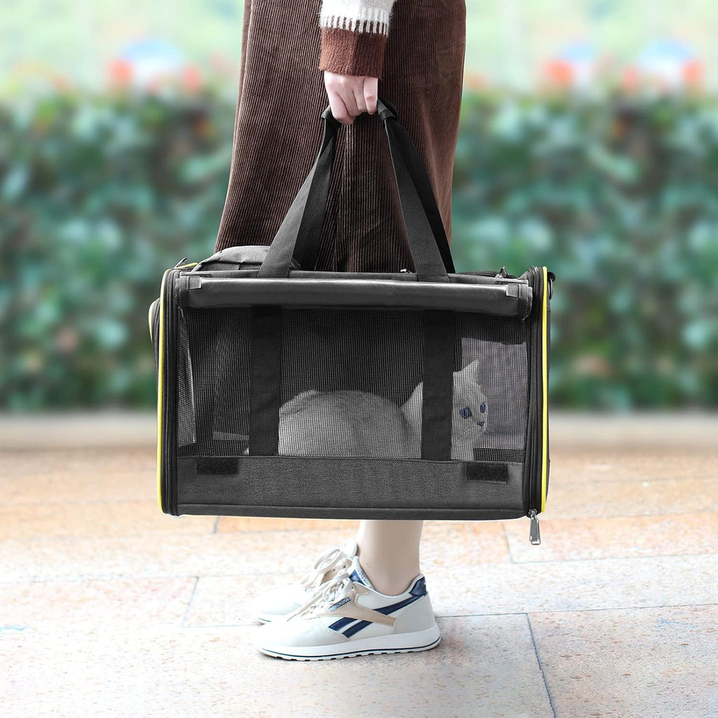 Innovative Traveler Bubble Backpack Pet Carriers for Cats and Dogs.