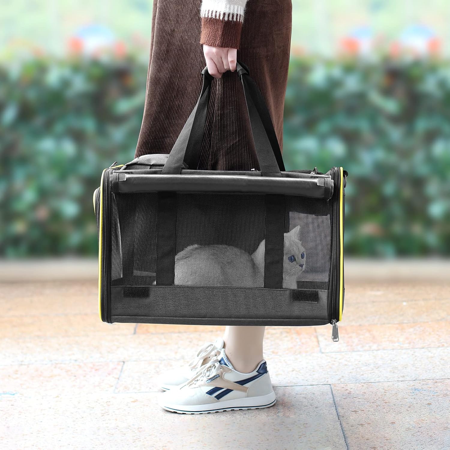 Innovative Traveler Bubble Backpack Pet Carriers for Cats and Dogs.