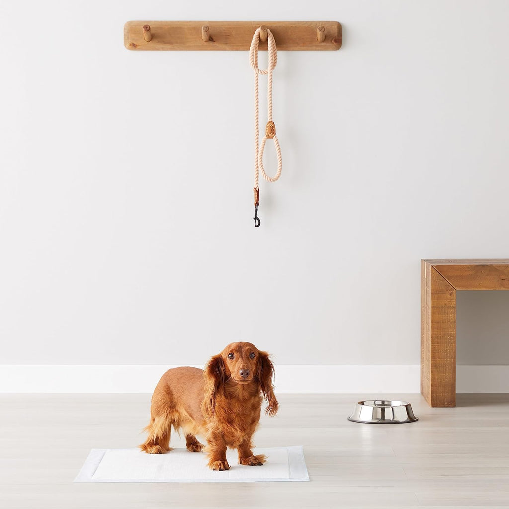 Amazon Basics Dog and Puppy Pee Pads, 5-Layer Leak-Proof Super Absorbent, Quick-Dry Surface, Potty Training, Regular (22x22"), 50 Count.